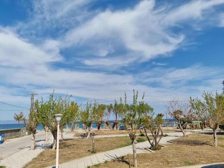 Connie'S Beach House Kos-Stadt Exterior foto